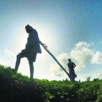 TH19_FARMER_2478350f