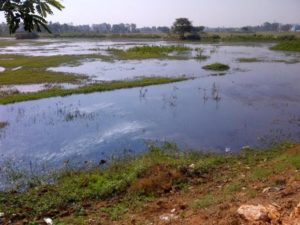 sewage treatment plant