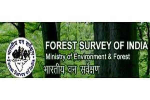 Tree cover rises above national average in Uttar Pradesh: FSI report Forest Survey of India