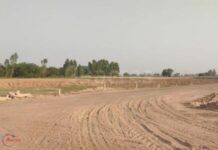 Punjab Government to spend 202 crore on upgrading S.A.S. Nagar road infrastructure Punjab Government