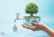 Groundbreaking Water Management Practices in Gurugram Water Management Gurugram